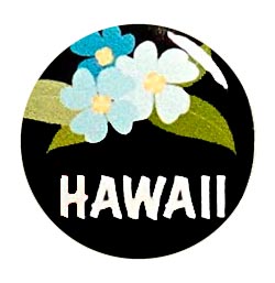 Hawaii button